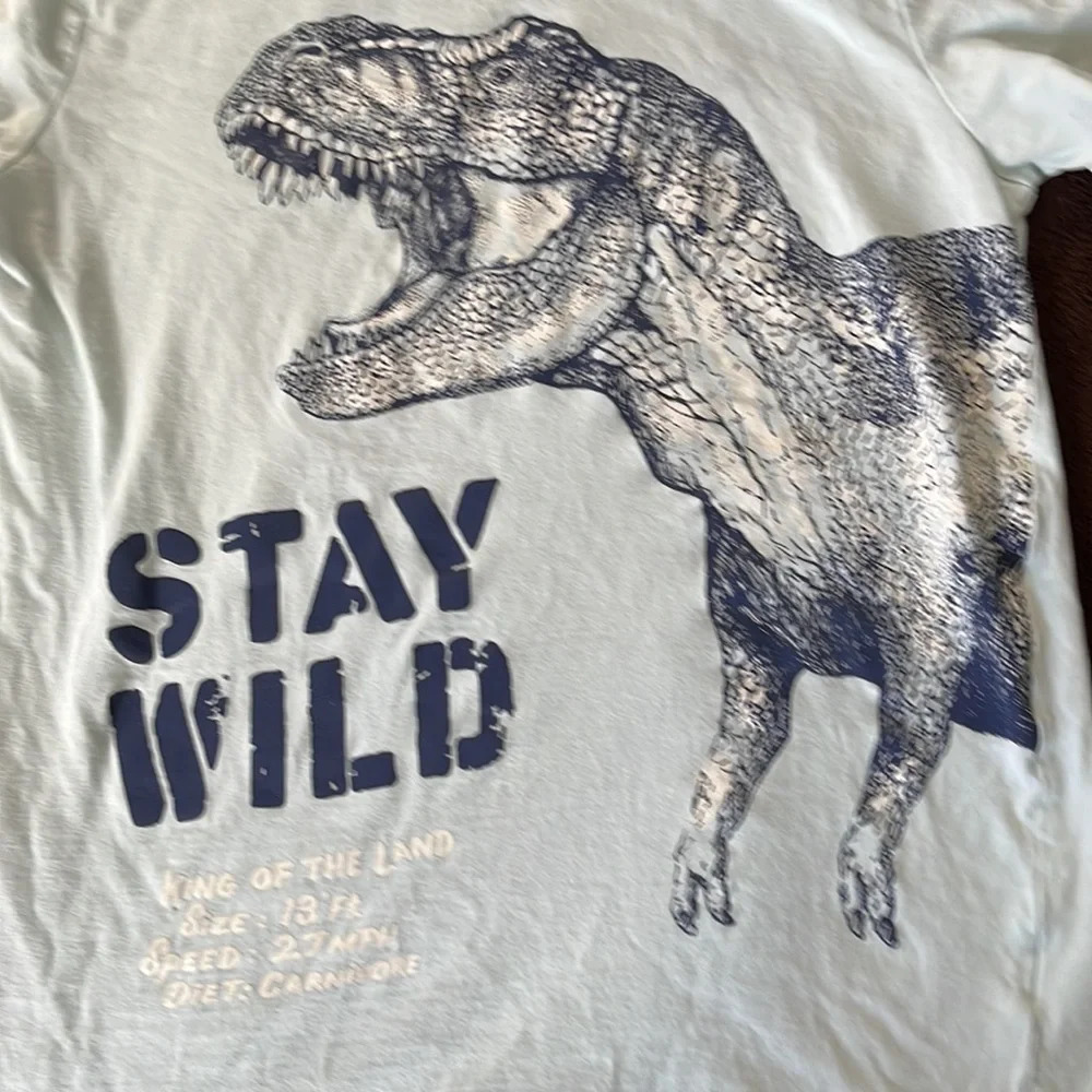 Boys tee shirt 🦖 - Picture 2 of 2